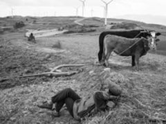 2018年索尼青年摄影师发展计划启动招募