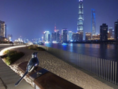 不止MIX 2S 小米发布会还有两款重磅新品