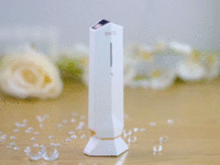 SKG射频仪测评 冻龄女神的秘密就是这黑科技