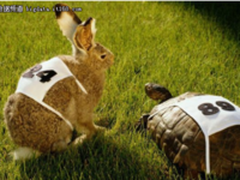 Python数据预处理:Dask和Numba并行化加速!