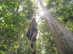 Google AI应用:从动植物保护到寻找未知行星