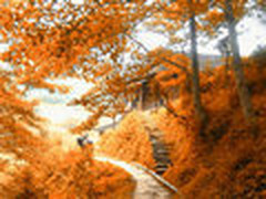 PhotoShop调出风景图片深秋的黄昏色彩