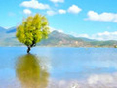 写实的诱惑 巧用可牛影像打造油彩画