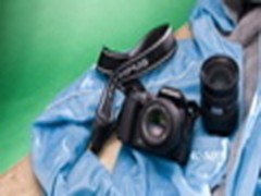 聚焦热点 2010最吸引眼球一线DSLR盘点