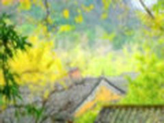 PhotoShop制作风景照片梦幻般仙境效果
