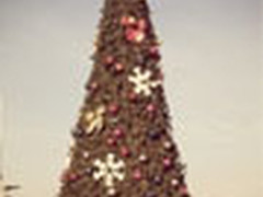 IT民工自拍:iPhone4镜头下的圣诞(多图)