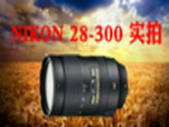 尼康大变焦28-300实拍 猫咪乐园