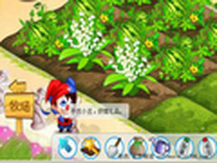 玩家必看！QQ农场升级最快赚钱多的植物