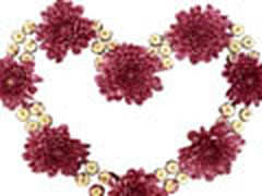 情人节爱心鲜花花束高清背景图片素材