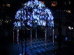 感受航拍的魅力 佳能60D夜游东京美图赏