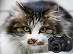 何必非要昂贵大炮 套机头一样背景虚化