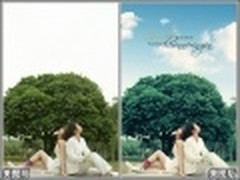 四步美化婚纱照 白色情人节浪漫秀出来