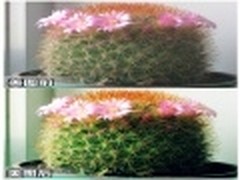 美图秀秀新手入门 炫酷特效一键搞定