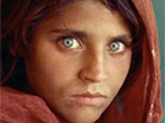 成名利器 揭秘全球著名照片背后的相机