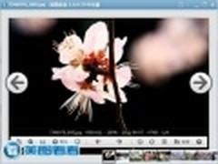 踏青百花俏 美图看看一键分享精彩瞬间