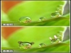 超萌涂鸦表情 美图让自然小物栩栩如生