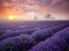 清爽体验 高频GTX580冰冷版青岛到货