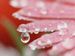 0厘米绝不夸张 7款微距性能超强DC推荐