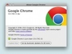 Google Chrome 13内嵌开发版本曝光
