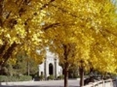 微软中国推出Win 7 Bing主题：百年清华