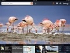 微软Bing for iPad升级 Lasso套索问世