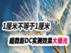 1cm不等于1cm  超微距DC实测效果大曝光