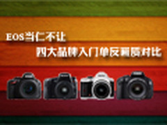 EOS当仁不让 四大品牌入门单反画质对比