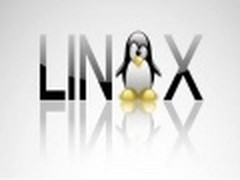 迎来20岁生日 Linux系统步入弱冠之年