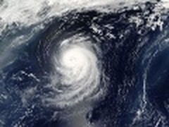 Twitter成纽约人飓风期间主要通讯平台