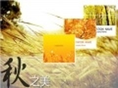 分享秋之美 WPS模板邀您赏秋色观秋景