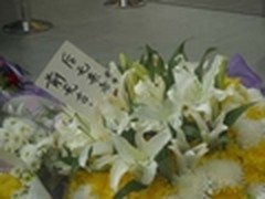 前无古人后无来者 黄牛献花祭奠乔布斯