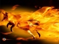 Mozilla Firefox 11 Alpha 1最新版下载