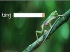微软Bing多国首页采用HTML5动画背景