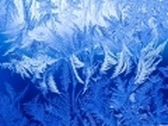 微软推出Windows 7新主题《雪花与冰》