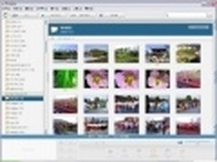 新增照片特效 谷歌Picasa 3.9正式发布