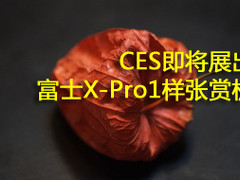 CES将展出 富士单电X-Pro1官方样张赏析