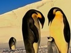 Win7主题自己配 新年新桌面天天换不同