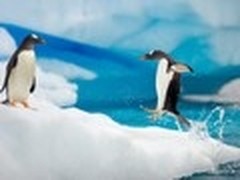 只选择最喜欢的！Win7主题壁纸想换就换