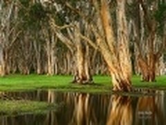 微软推Win7新主题《澳大利亚海岸风光》