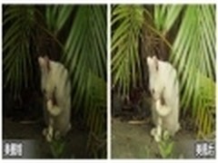 新增智能补光 美图秀秀3.1.1新版发布