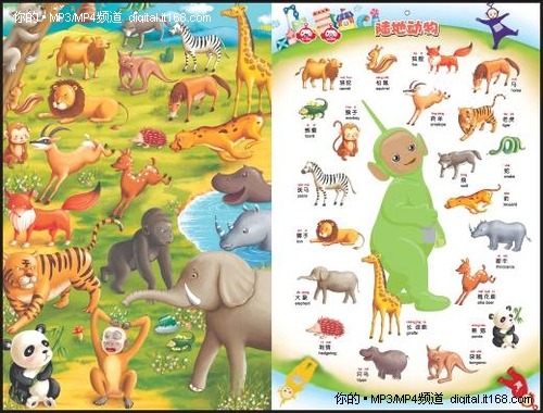 绘声绘色跟我读—纽曼天线宝宝有声挂图