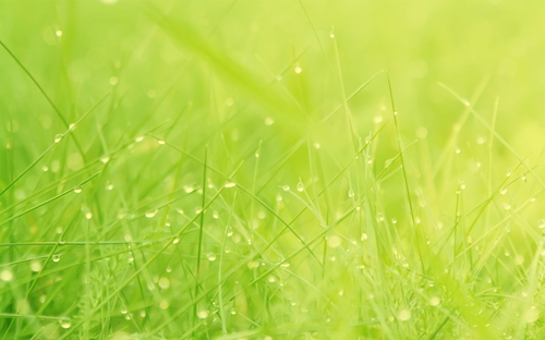 伴您清凉一夏 六月最清爽高清壁纸精选