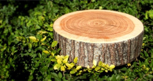 这款树墩子造型的坐垫又是充分利用了真实树墩和坐垫之间的共同功能