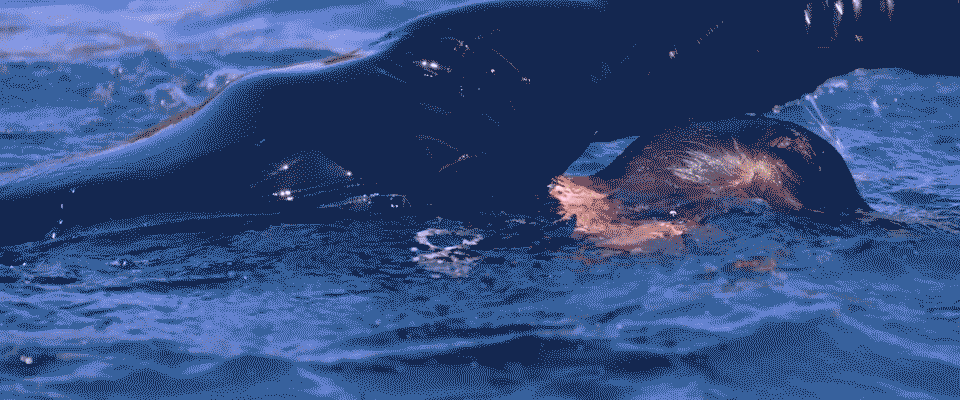 音乐带来运动激情 评索尼walkman nw-ws623运动播放器