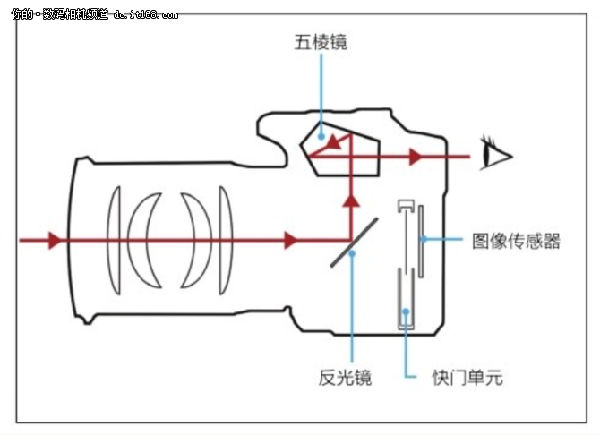 由于单反相机的结构,镜头,成像原件和取景器是通着的.