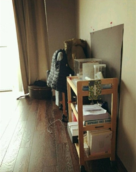 郑爽新房照片曝光 简约装修风格暗藏少女心