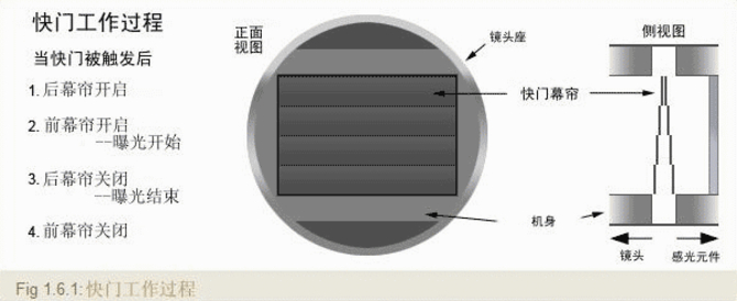 焦平面快門就是上圖中的樣子.